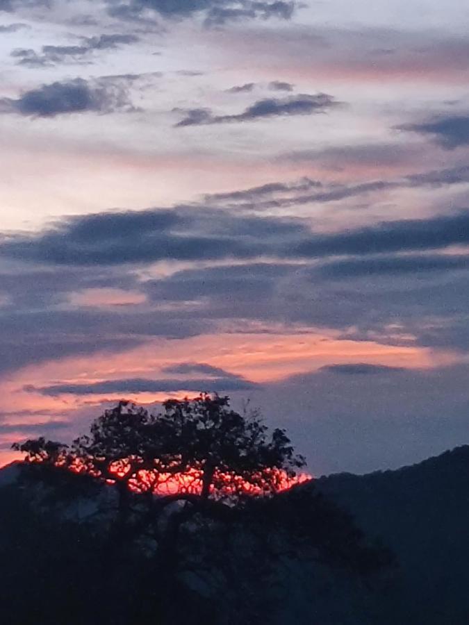 Chateau De Tatli - Hilltop - Dehradun Dış mekan fotoğraf